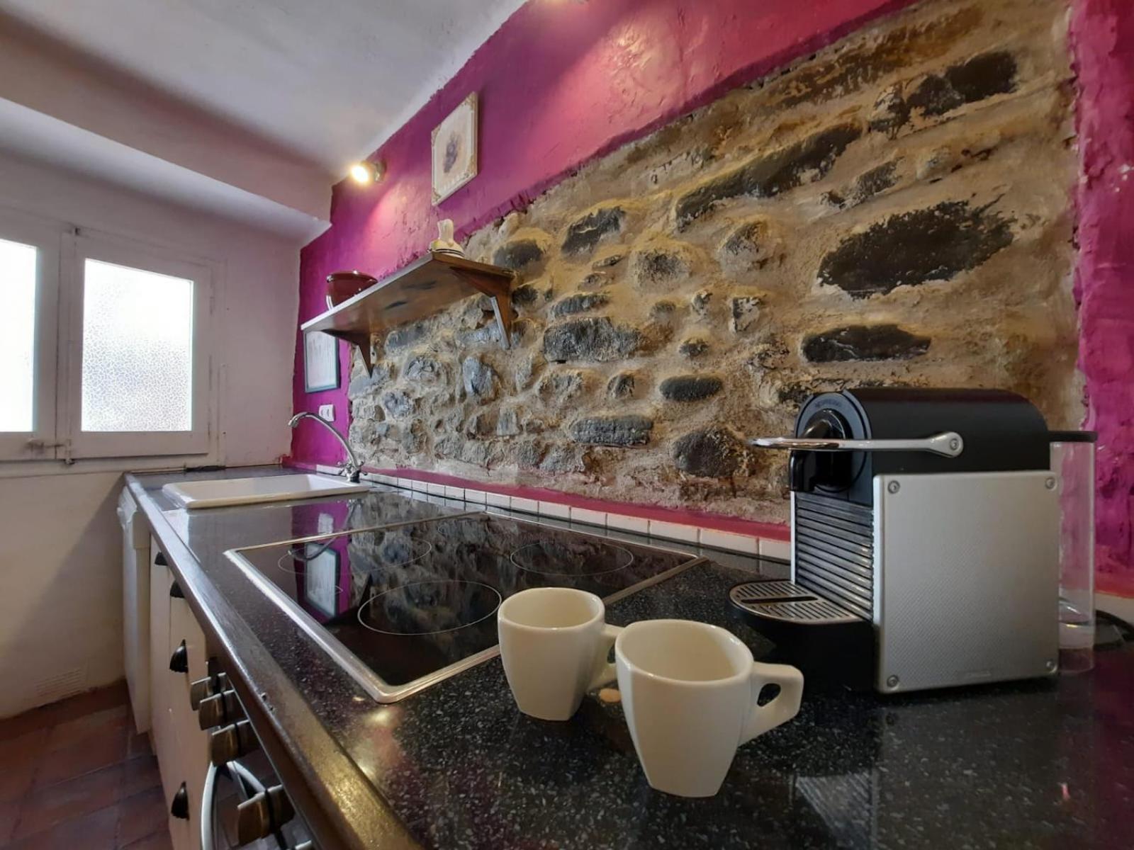 Casa Rural Cal Rocco Porta Del Pirineu Pobla de Segur Ngoại thất bức ảnh