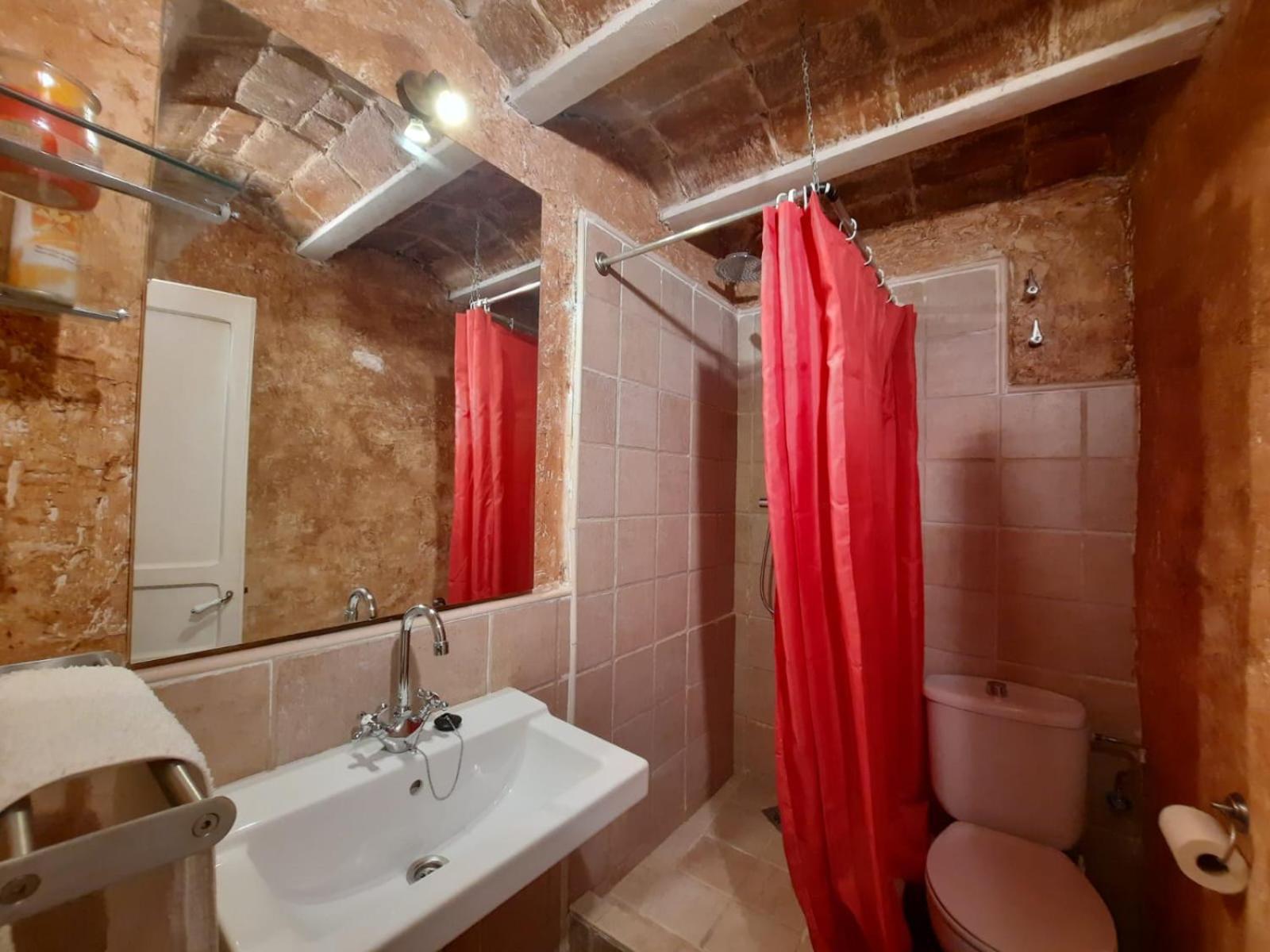 Casa Rural Cal Rocco Porta Del Pirineu Pobla de Segur Ngoại thất bức ảnh